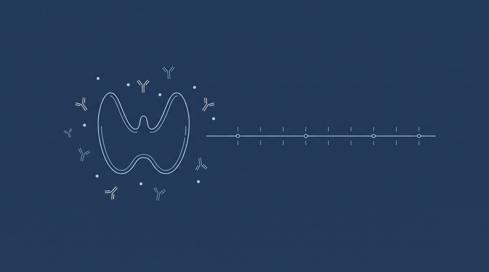 Ilustração editorial em linhas finas azul-claro sobre fundo azul-marinho: o contorno de uma tireoide em forma de borboleta, com pequenos pontos ao redor representando anticorpos e, ao lado, uma linha de acompanhamento horizontal e estável. Sem texto, sem pessoas, sem marcas.