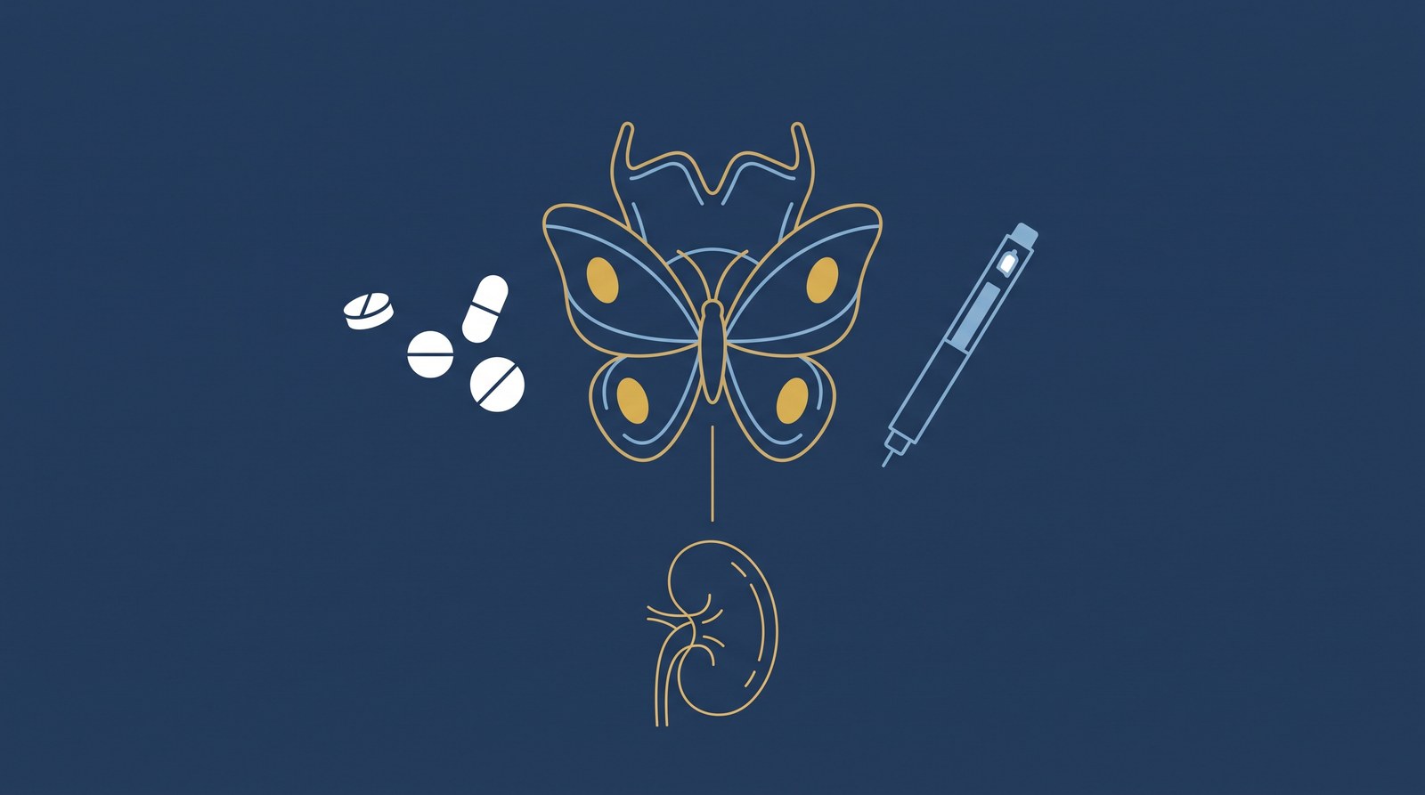 Ilustração em linhas finas douradas e azul-claras sobre fundo azul-marinho: no centro, a tireoide em forma de borboleta com quatro pequenas glândulas destacadas em dourado, ligada por um traço a um rim abaixo; à esquerda, comprimidos brancos sem rótulo; à direita, uma caneta de aplicação genérica. Sem texto, sem pessoas e sem marcas.