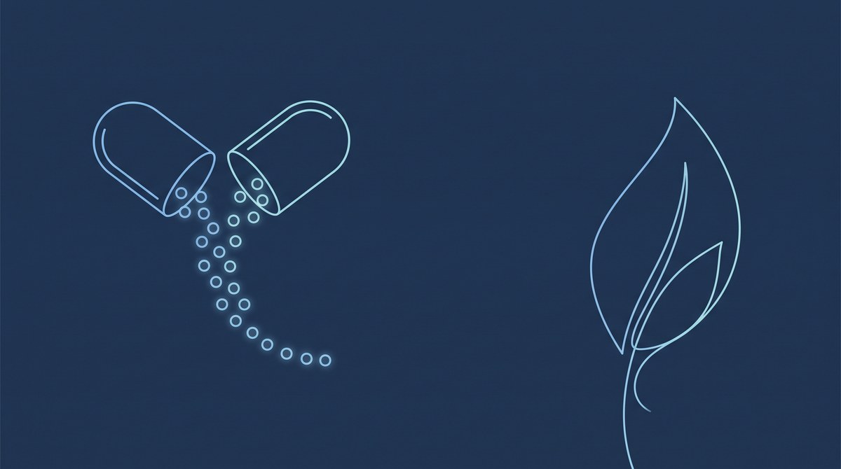 Ilustração editorial sóbria sobre fundo azul-marinho, com o contorno em linhas luminosas de uma cápsula aberta da qual saem pequenos círculos que se organizam em uma curva descendente discreta, ao lado da silhueta em linha contínua de uma folha. Sem texto, sem rostos, sem pessoas, sem marcas, sem embalagem.